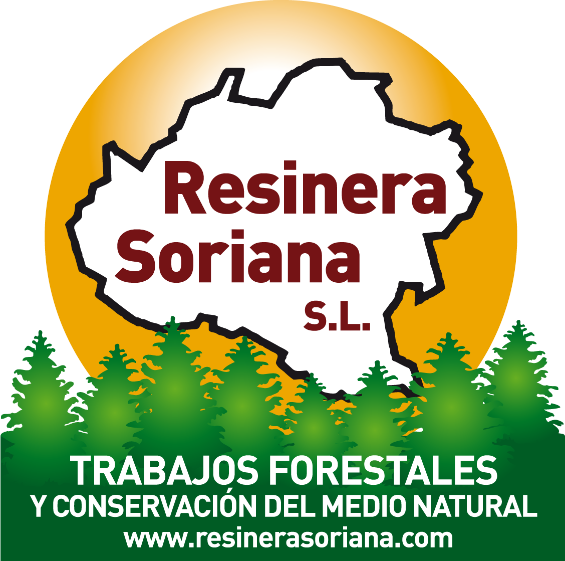 Logo Resinera Soriana
